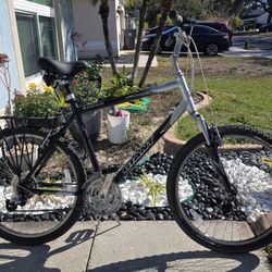 X-Large Giant Sedona Mountain Bike