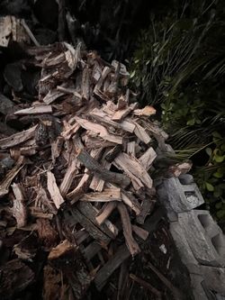 firewood for sale - 25 pieces for $20