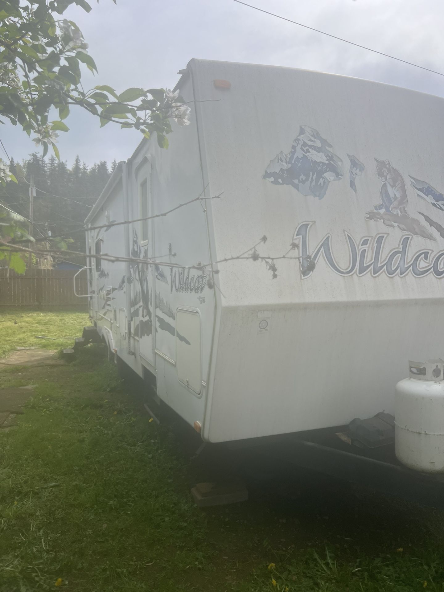 2007 Wildcat Travel Trailer With One Slide. Great Conditions 