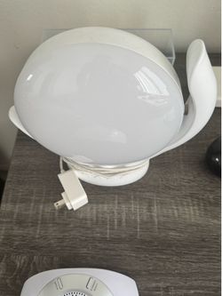 Daylight Lamp