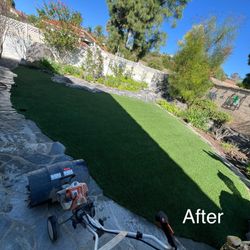 Turf Refresh / Turf Cleaning / Turf Maintenance 
