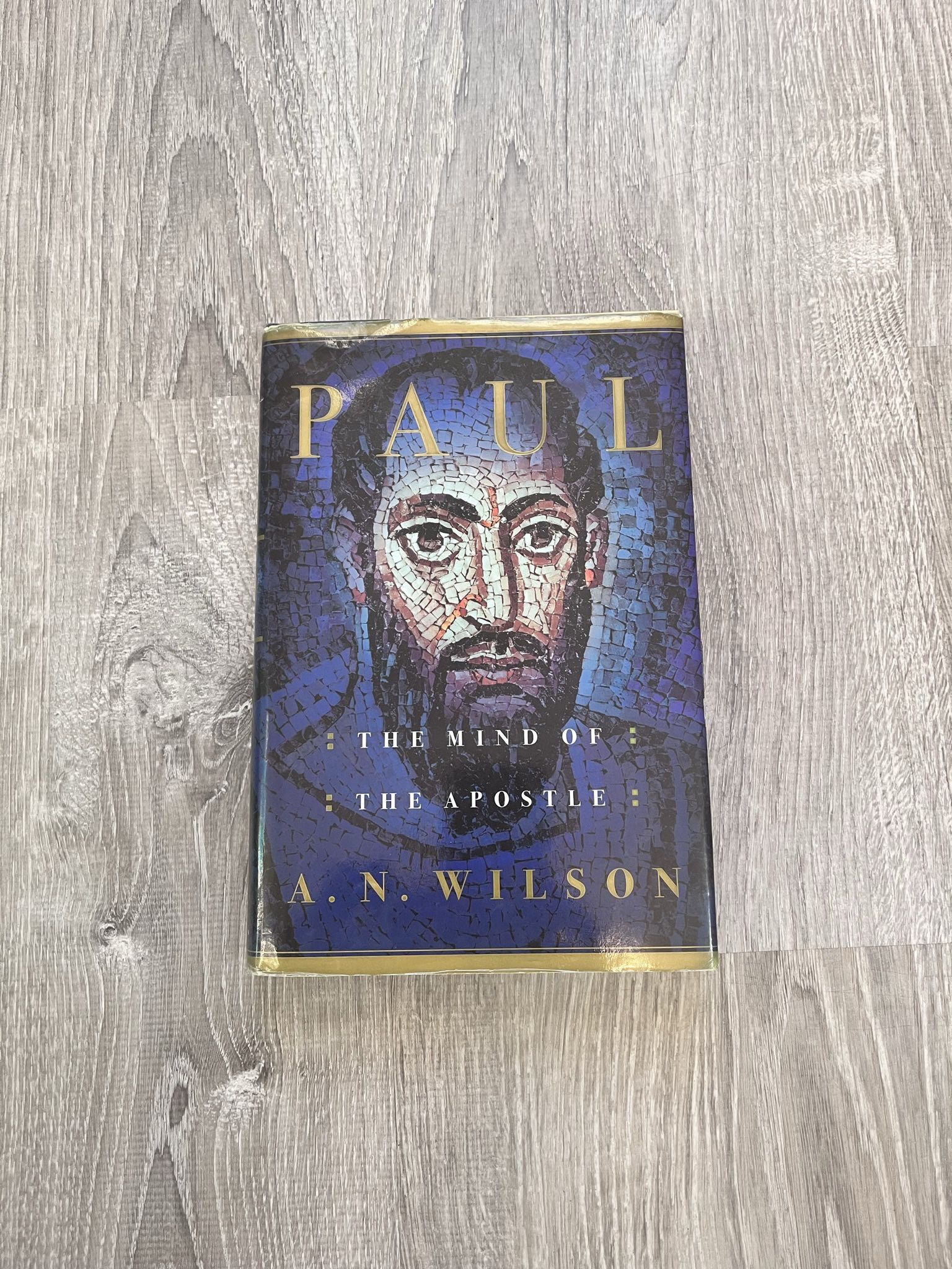 Paul The Mind of The Apostle by A. N. Wilson Hardcover Book Religion Hardback