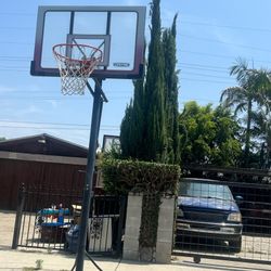 Basketball Hoop