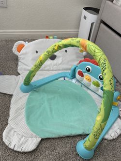 Baby Play Gym