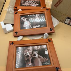 Vintage Walt Disney Parks 3 Wood/Charm 4 x 6” Frames