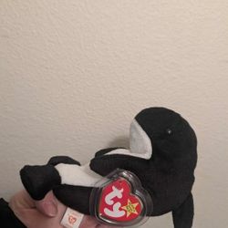 1996 Ty Orca The Whale Beanie Baby Stuffy Toy - Everett, Wa