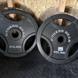 45lb Fitness Gear Olympic Cast Plate (2x)