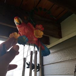 Parrot Windchime 