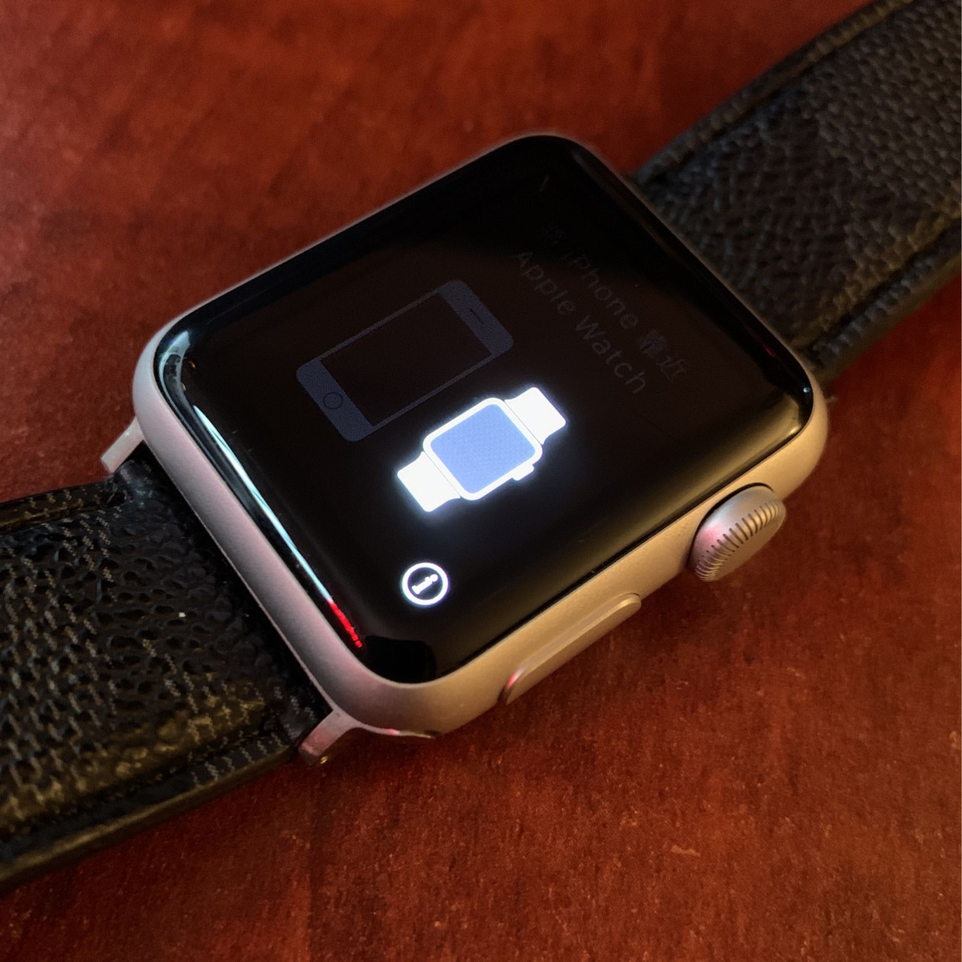 Apple Watch With COACH Band