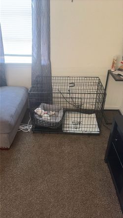 dog cage