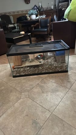 Hamster/retile Enclosure Like New With Toys For Rodent L