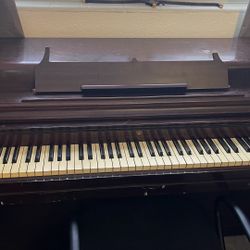 Piano Profesional 