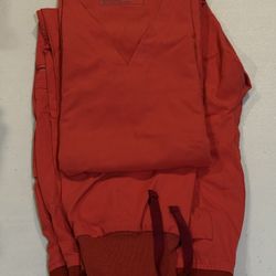 Figs Clay Medium Petite Zamora Jogger with Medium Casma