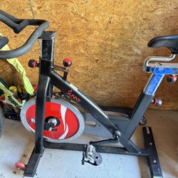 Sunny Belt Drive Cycle Bike (SF-B1002)