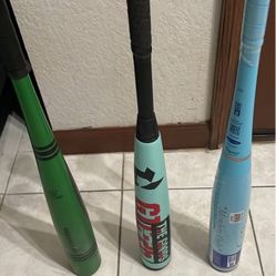 31 Inch BBCOR Bats 