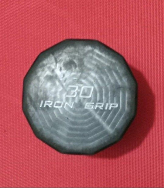 (1) 30lb Iron Grip Bumper Dumbell Weight