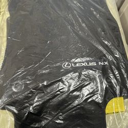 NX 250 Floor Mats & Cargo Mat