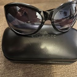 Coach Sunglasses 