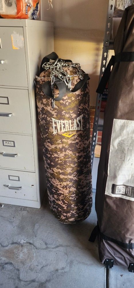 Everlast Punching Bag