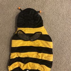 Bumble Bee Dog Costume XL
