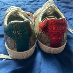 gucci Shoes 