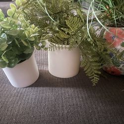 Faux Plants And Stands- ALL for $20