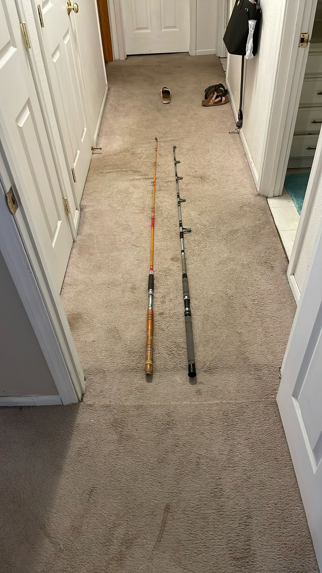 Trolling And bottomfishing Rods