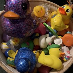 DUCKS