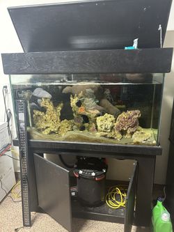 Aquarium and Fish Tank