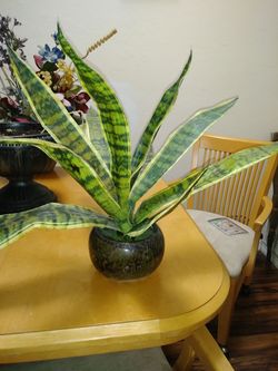 Artificial snake plant