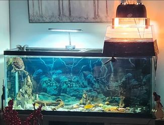 55gallon turtle or fish tank