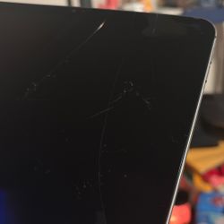 iPad Pro, 11in 3rd Gen 256gb