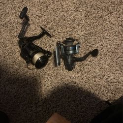 Fishing Reels
