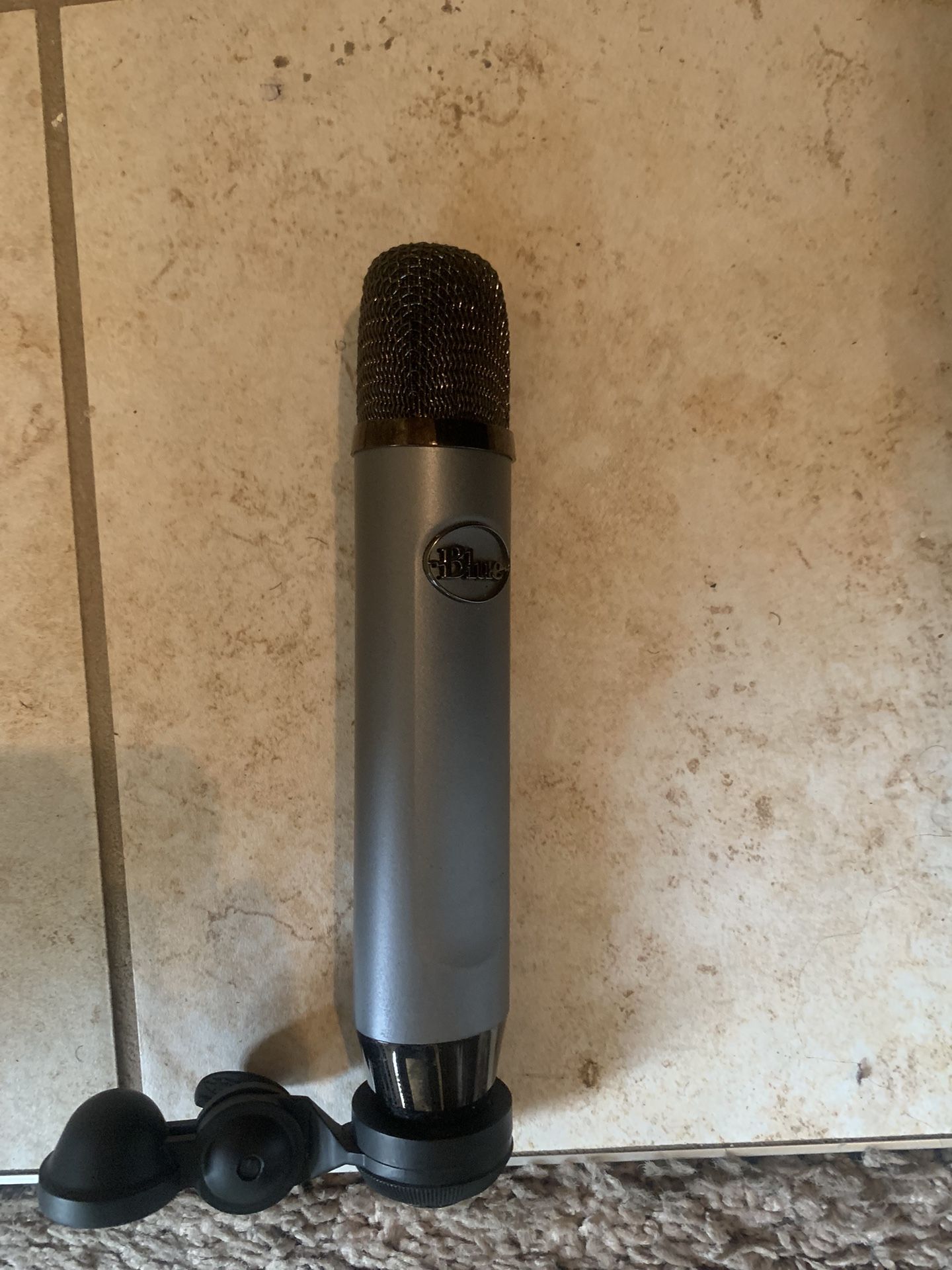 Blue condenser Mic