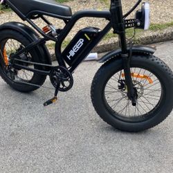 Electric Bike 