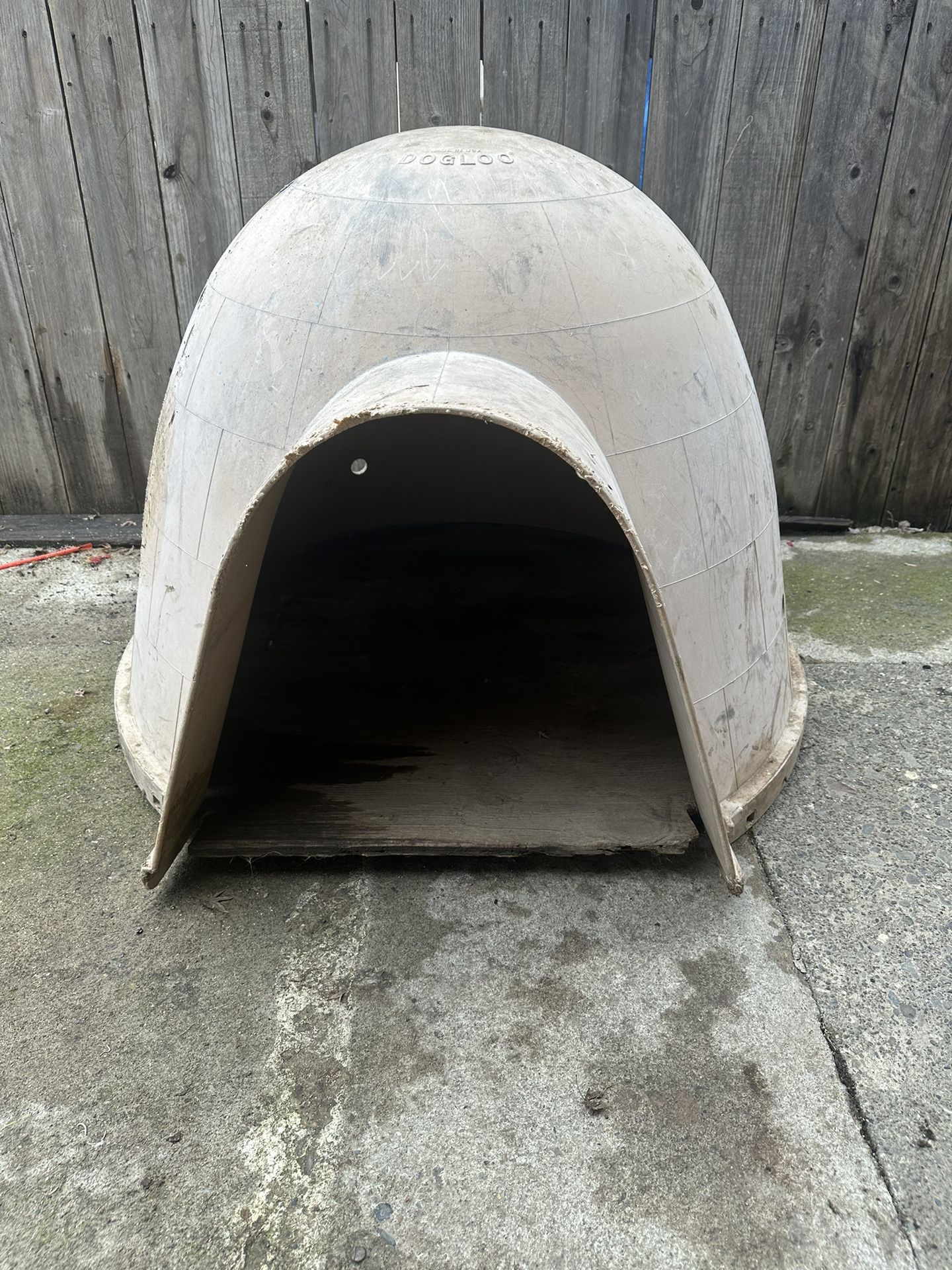 Dog House