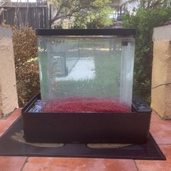 20 Gallon Infinity Edge Fish Tank