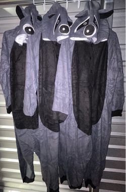 3 raccoon costumes