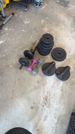 Assorted Weights and dumbells
