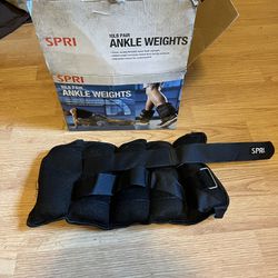 Ankle Weights - 10 Pounds 