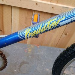 Schwinn Predator 