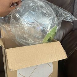 Hamster Ball