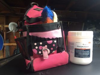 Horse phenylbutazone, brush, bag etc