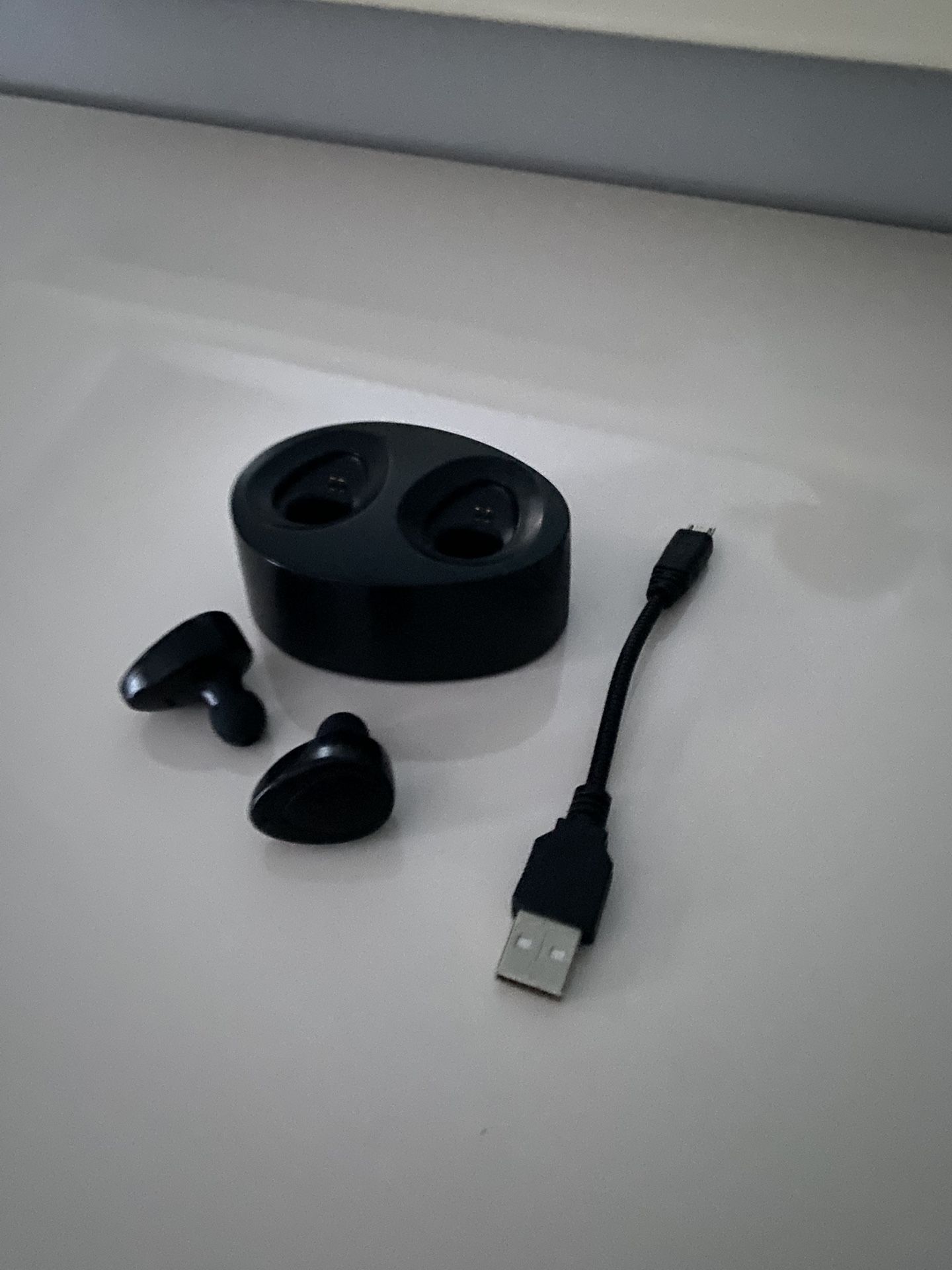 TDK Earbuds