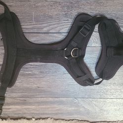 Black Dog Harness (S)