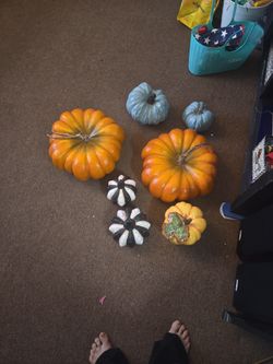 7 Pumpkin Different Sizes and Colors!