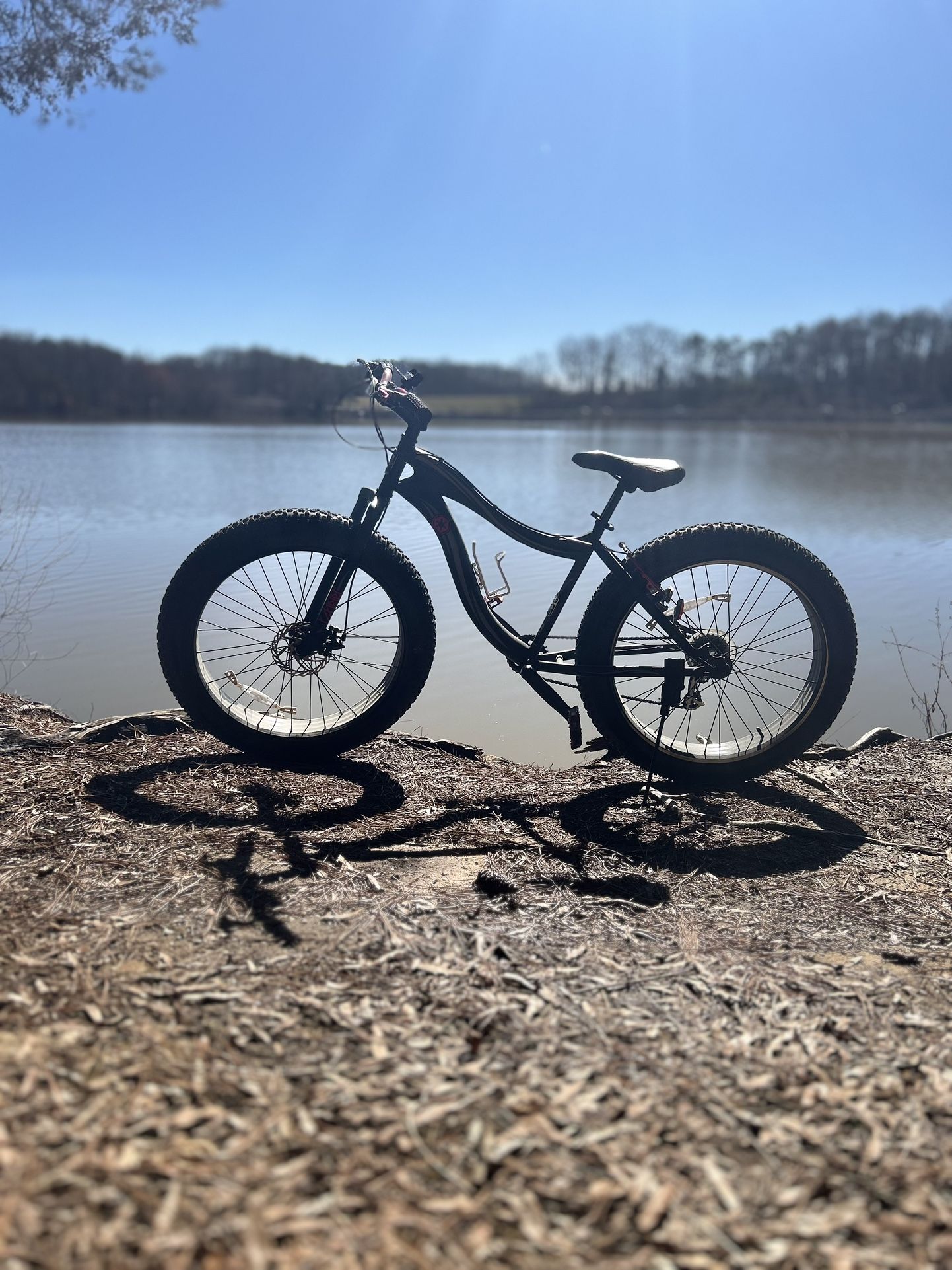 Mountain bike
