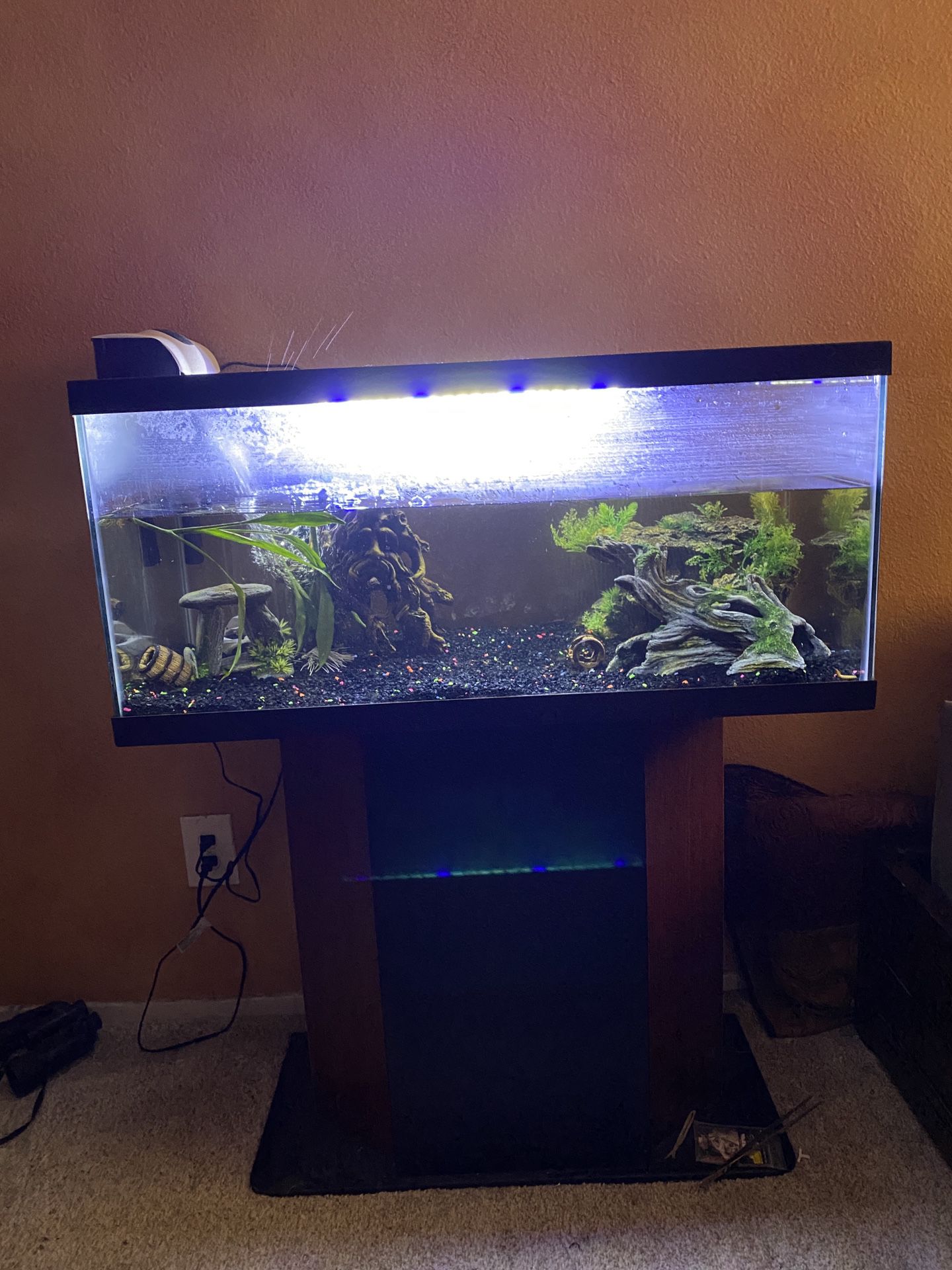 50 gallon fish tank with filter and 2 color light bar