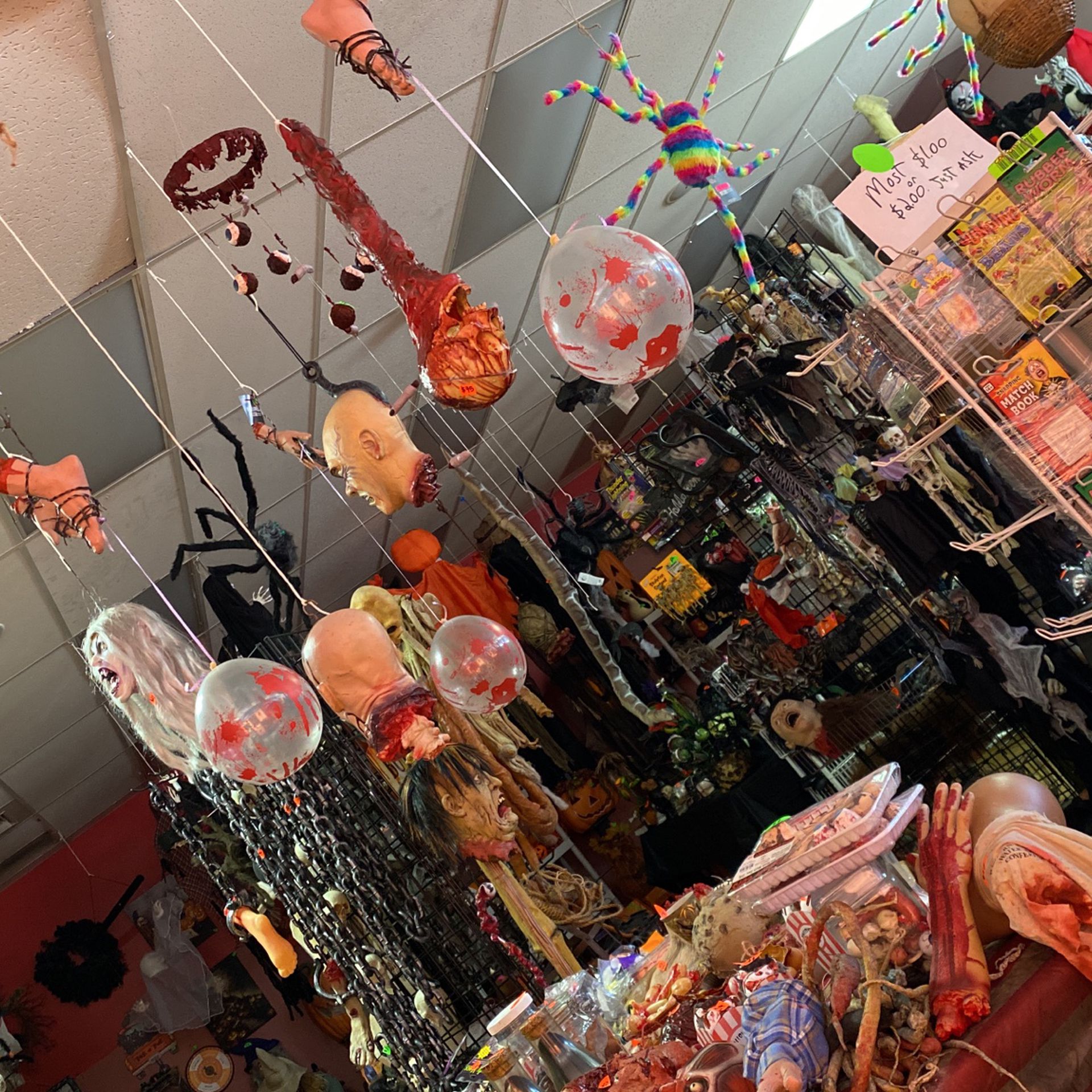 Halloween Props And Decorations. Wow Best Selection!!!