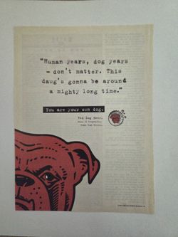 This image is a vintage print advertisement for Red Dog Beer.